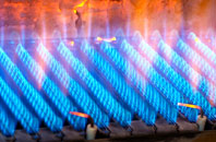 Ashreigney gas fired boilers